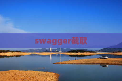swagger截取